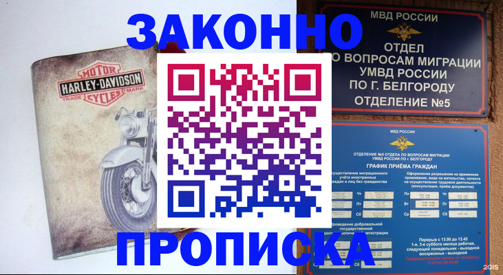 прописка для школы в Куровском